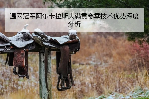 温网冠军阿尔卡拉斯大满贯赛季技术优势深度分析 - 360app